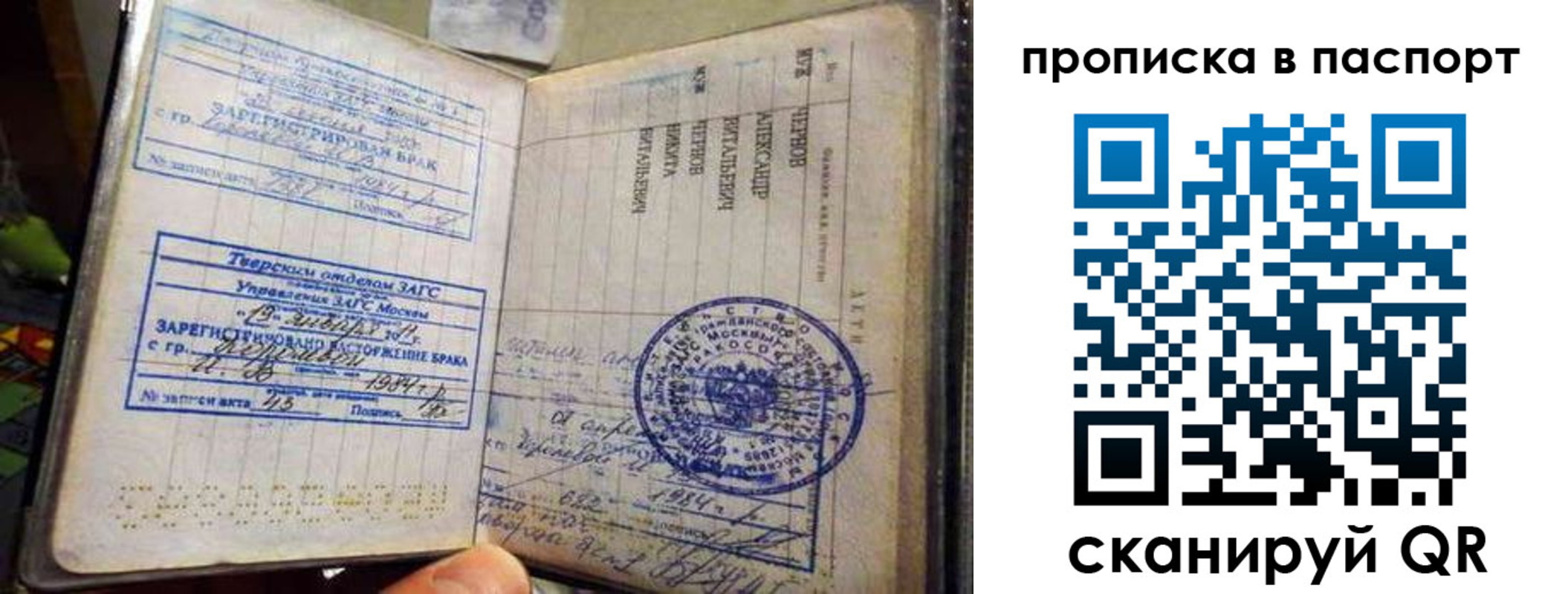 прописка поиск в Алексеевке